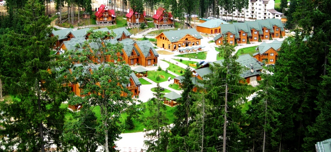 лагерь Лесной Артек Буковель