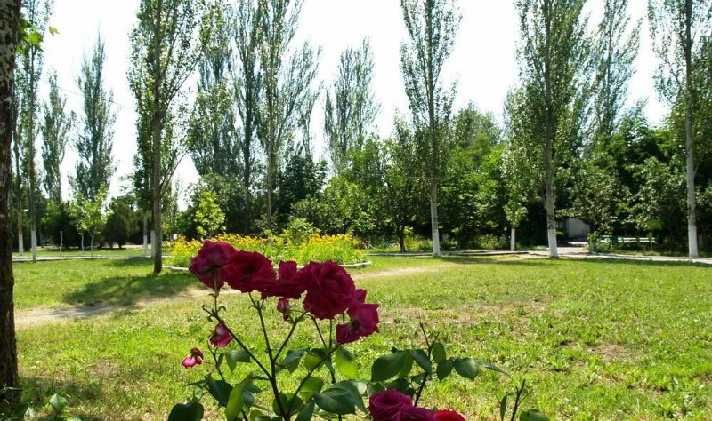 Романтик Скадовск