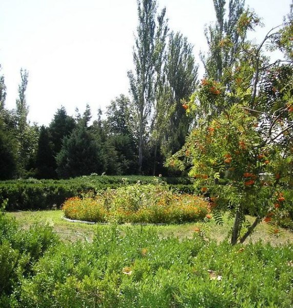 Романтик Скадовск