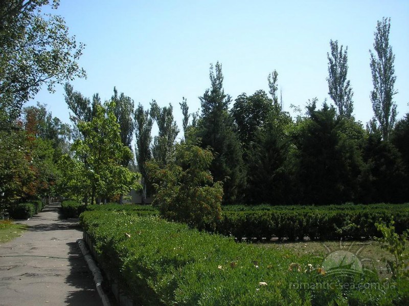 Романтик Скадовск