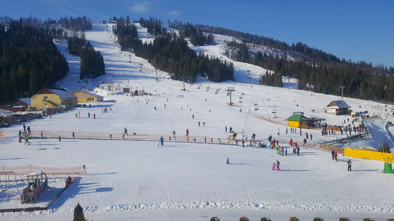 Лыжные каникулы  в Карпатах «У Тараса»