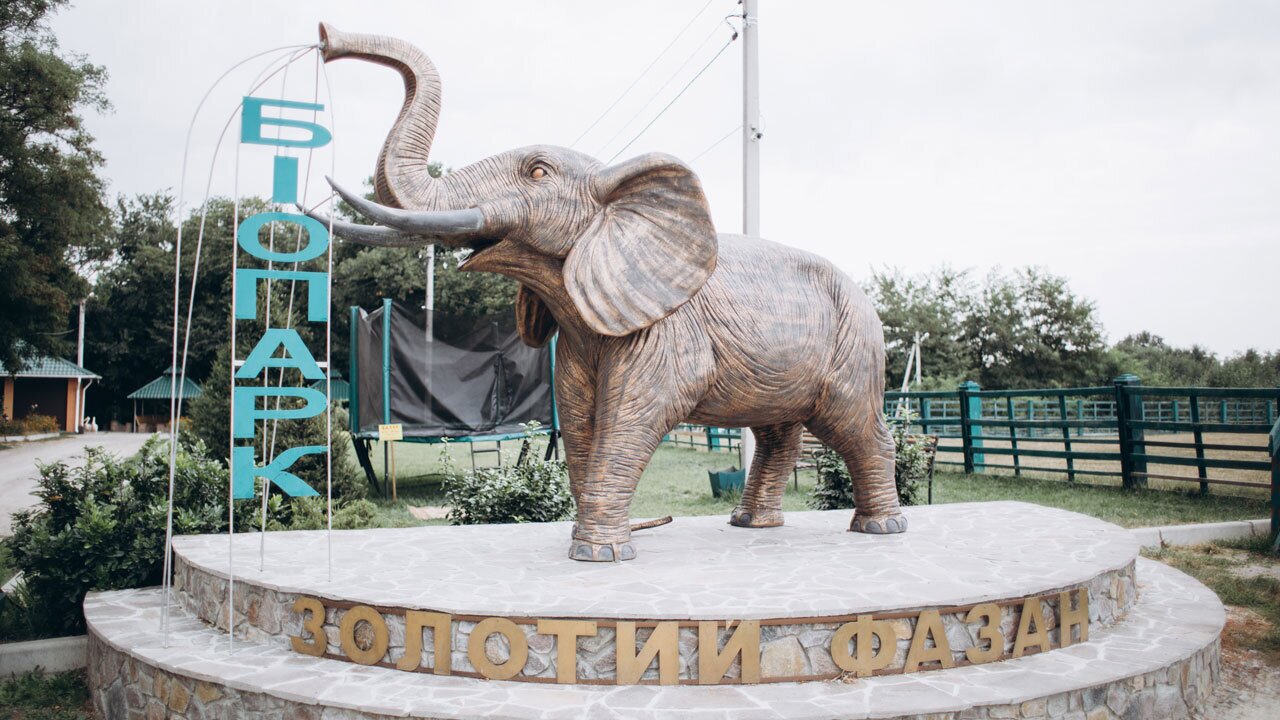 БІОпарк "Золотий фазан", Жашківський кінний завод та Буцький каньйон - прогулянки на свіжому повітрі і спілкування з природою!